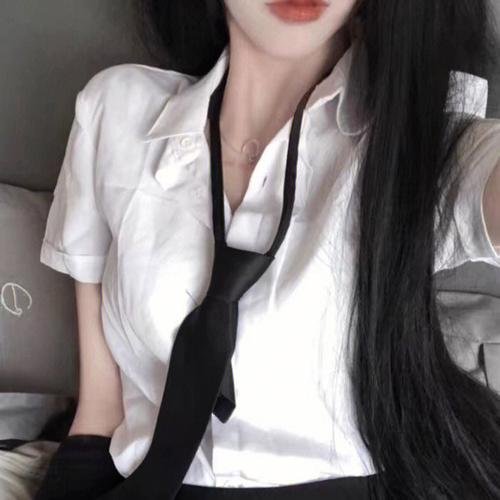 模范家族