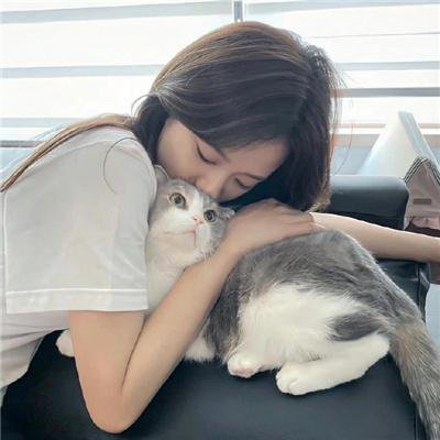 蝴蝶劫